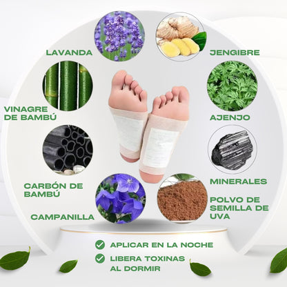 Parches Desintoxicantes KINOKI - 6 CAJAS de 10 unidades