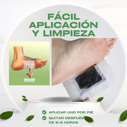 Parches Desintoxicantes KINOKI - 6 CAJAS de 10 unidades