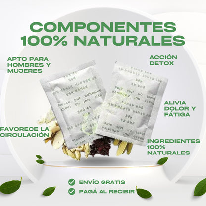 Parches Desintoxicantes KINOKI - 6 CAJAS de 10 unidades