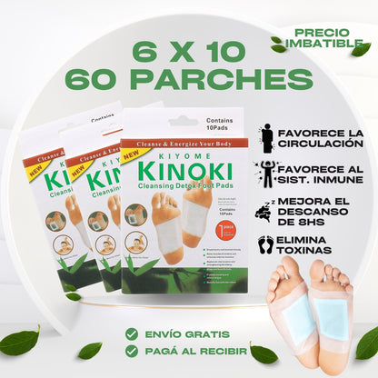 Parches Desintoxicantes KINOKI - 6 CAJAS de 10 unidades
