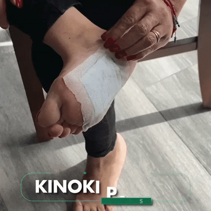 Parches Desintoxicantes KINOKI - 6 CAJAS de 10 unidades